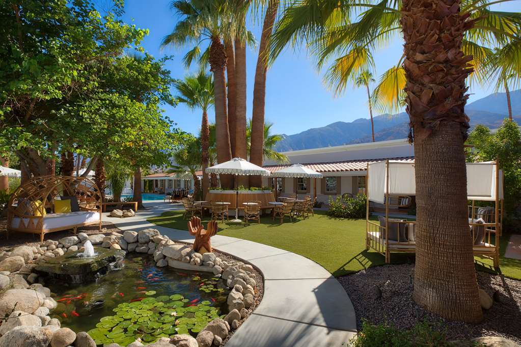 Dive Palm Springs Hotel Luaran gambar